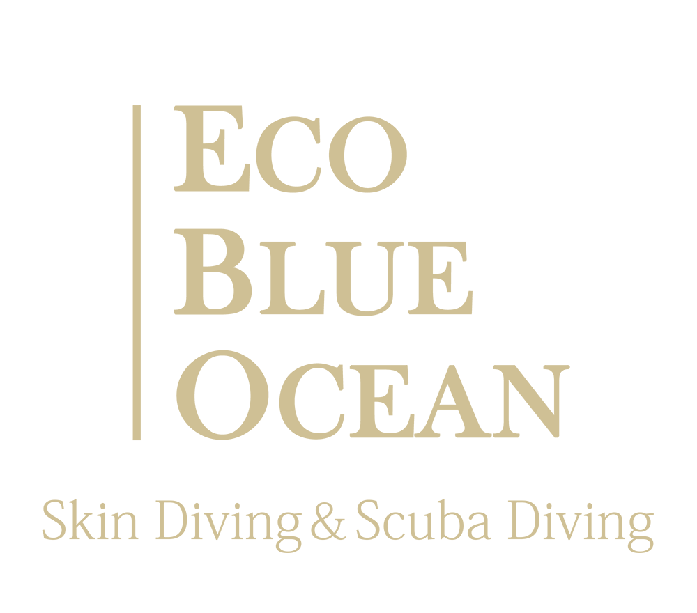 ECO BLUE OCEAN