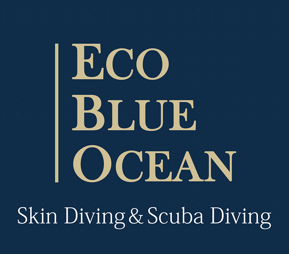 Eco Blue Ocean